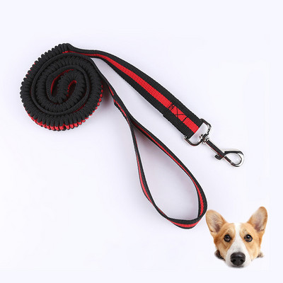 Elastne lemmiklooma kassi kutsika koera jalutusrihm, jooksev koer, reguleeritav nailonist jalutusrihm kaelarihma köis koos peegeldava lemmiklooma sörkimiseks venitava veojõu köiega