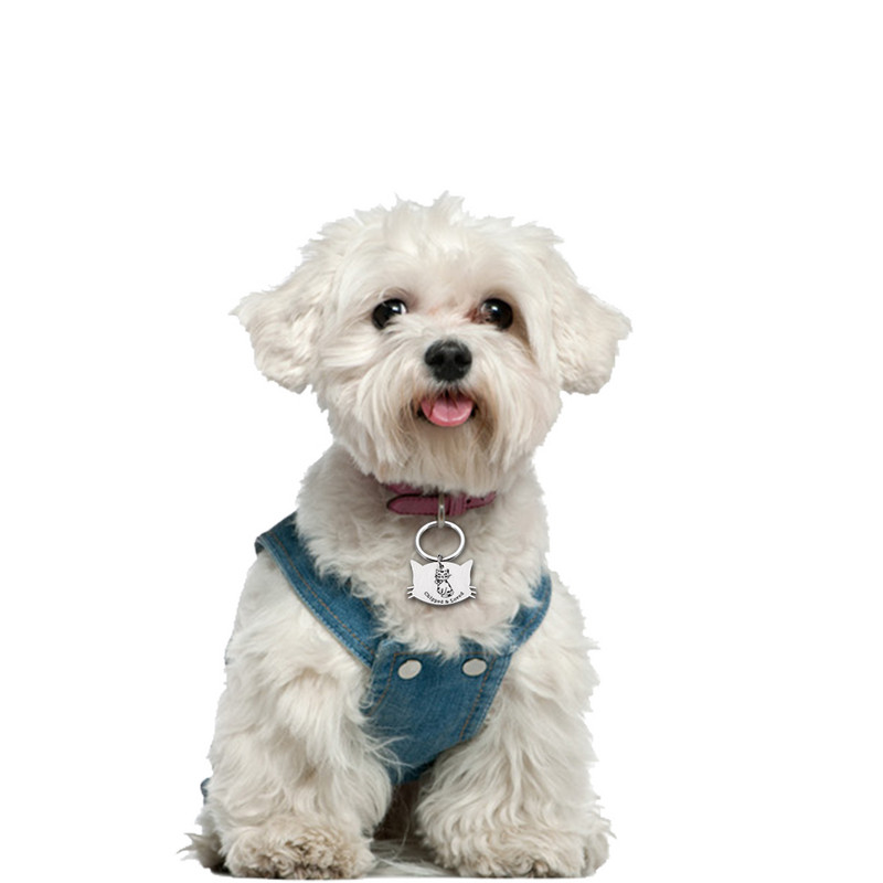 Placă personalizată Etichetă pentru animale de companie, pisică, câini, accesorii, zgarda, medalie cu gravură, pisicuță, nume de cățeluș, inscripție gravată, insigna față de pisică