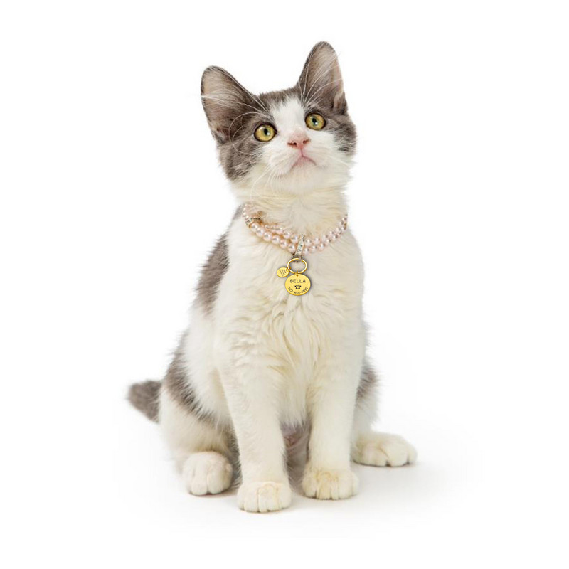 Ugravirani pas ID oznaka za kućnog ljubimca Personalizirano ime Telefon Kost cvijet ID kućnog ljubimca Ime za mačku Štene Ps oznaka Privjesak Privjesak za ključeve Dodaci za kućne ljubimce