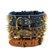 Teravad naeltega nahast koera kaelarihmad Pitbull Bulldog suur koera kaelarihm reguleeritav keskmise suurusega koertele Boxer SL