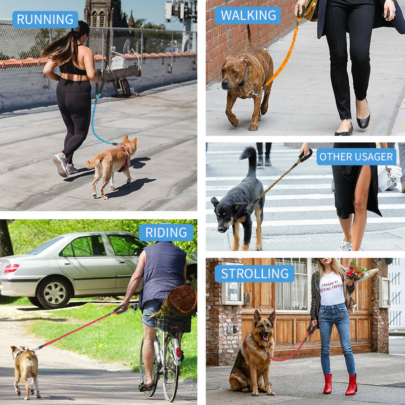 Λουρί σκύλου Ελαστικά αντανακλαστικά λουριά κατοικίδιων ζώων με λαβή με επένδυση Safe Leader Σχοινί για σκύλο ΟΧΙ Αξεσουάρ κατοικίδιων ζώων για τρέξιμο στο περπάτημα