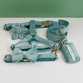 Zeleni baršunasti set ogrlice i povodca za pse za male srednje velike pse Prilagođeno ugravirana pločica s imenom Potrepštine za kućne ljubimce Povodac za pse Velvet29