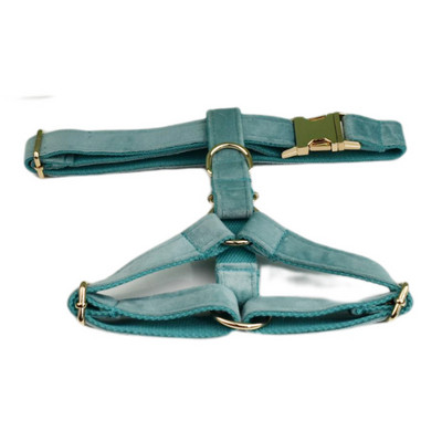 Zeleni baršunasti set ogrlice i povodca za pse za male srednje velike pse Prilagođeno ugravirana pločica s imenom Potrepštine za kućne ljubimce Povodac za pse Velvet29