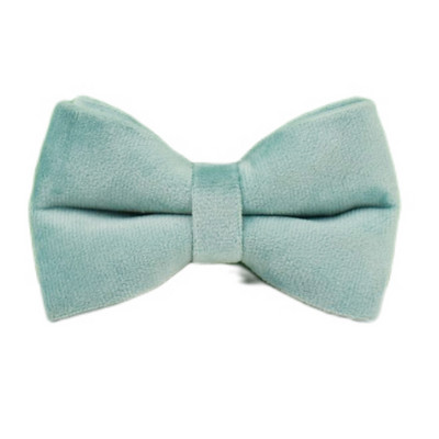 Zeleni baršunasti set ogrlice i povodca za pse za male srednje velike pse Prilagođeno ugravirana pločica s imenom Potrepštine za kućne ljubimce Povodac za pse Velvet29