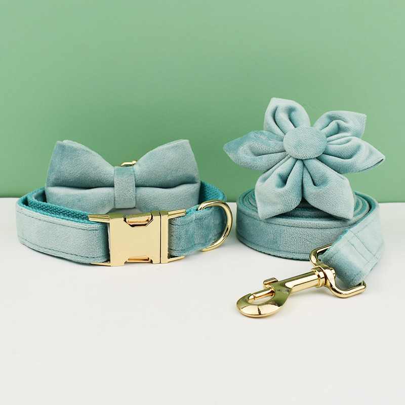 Zeleni baršunasti set ogrlice i povodca za pse za male srednje velike pse Prilagođeno ugravirana pločica s imenom Potrepštine za kućne ljubimce Povodac za pse Velvet29