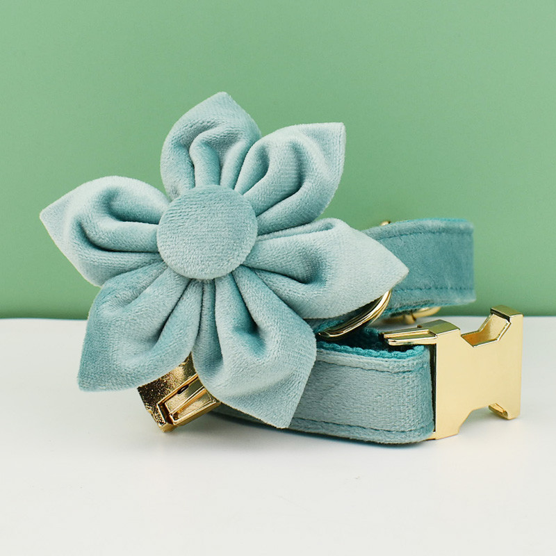 Zeleni baršunasti set ogrlice i povodca za pse za male srednje velike pse Prilagođeno ugravirana pločica s imenom Potrepštine za kućne ljubimce Povodac za pse Velvet29