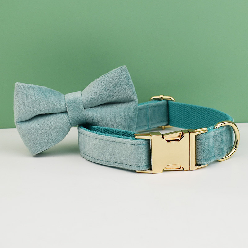 Zeleni baršunasti set ogrlice i povodca za pse za male srednje velike pse Prilagođeno ugravirana pločica s imenom Potrepštine za kućne ljubimce Povodac za pse Velvet29