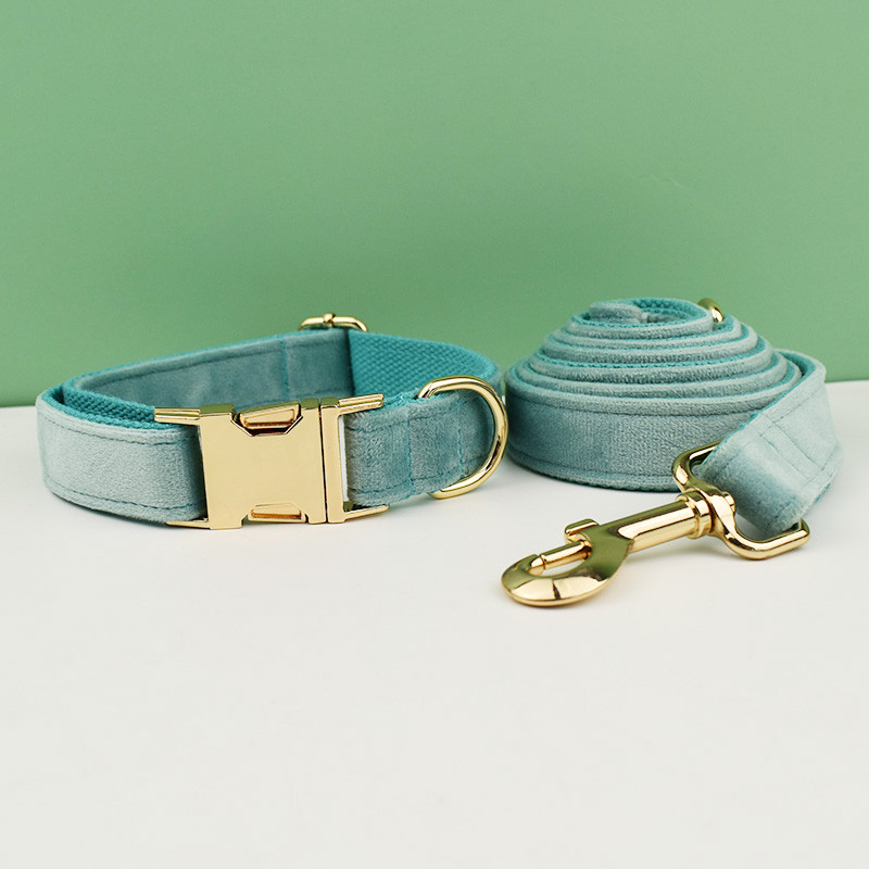 Zeleni baršunasti set ogrlice i povodca za pse za male srednje velike pse Prilagođeno ugravirana pločica s imenom Potrepštine za kućne ljubimce Povodac za pse Velvet29