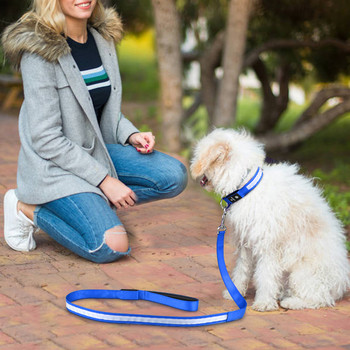 MASBRILL LED каишка за кучета USB акумулаторна каишка за домашни любимци Отразяваща найлонова мрежа Мека подплатена тренировка за ходене Видима и безопасна водоустойчива