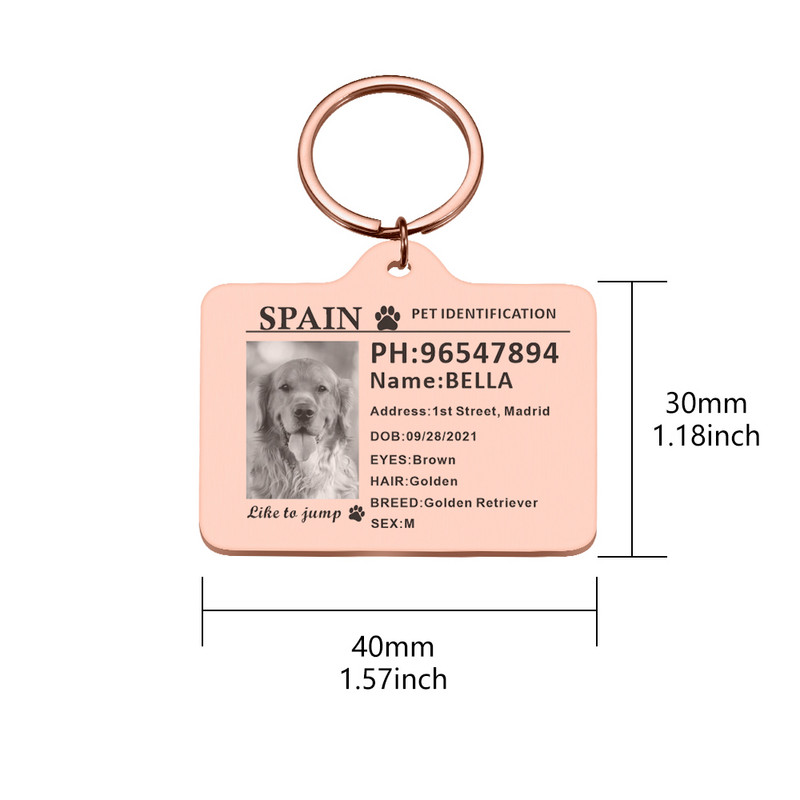Kohandatavad koera kaelarihma fotosildid koertele Medal graveeringuga nimega Kassipoeg Kutsika Aksessuaarid Isikupärastatud kassi kaelakee kett