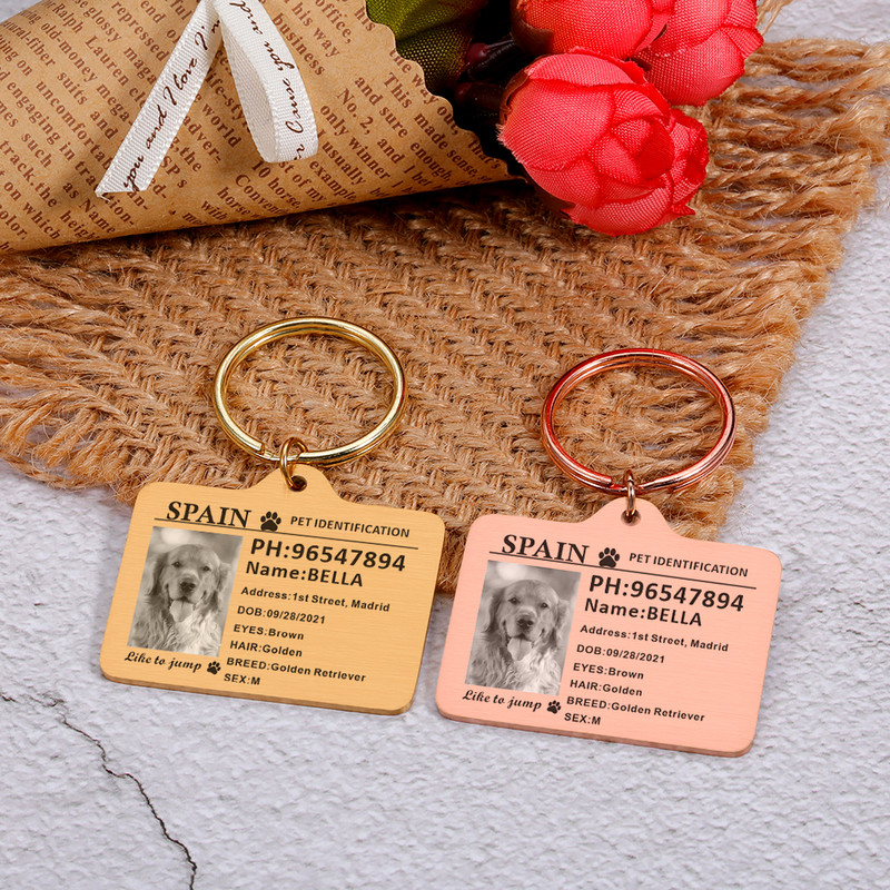 Kohandatavad koera kaelarihma fotosildid koertele Medal graveeringuga nimega Kassipoeg Kutsika Aksessuaarid Isikupärastatud kassi kaelakee kett