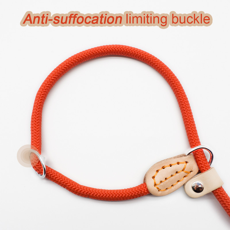 P kett Koera jalutusrihm libisemiskaelarihm lemmikloom Jalutusrihmad Nailonist Koer Mägironimisköis kutsikas lemmikloom Veojõud väikestele Keskmistele Suurtele Koertele
