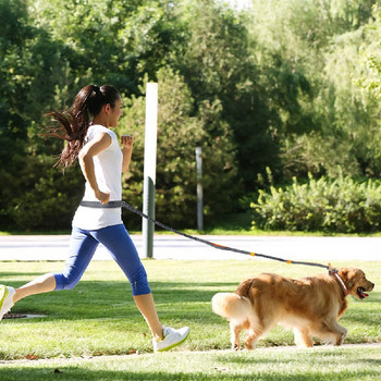 1 τμχ Ρυθμιζόμενα Χέρια Γάτα Σκύλος Δωρεάν Τρέξιμο Περπάτημα Τζόκινγκ Ζώνη Ζώνης Μέσης Μόλυβδος Ζώνης Λουρί στήθους Δώρο Σχοινί έλξης Προμήθειες για κατοικίδια