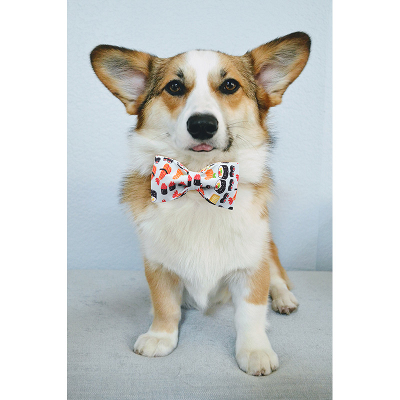 Set guler și lesă pentru câini din material de bumbac albastru sushi cu papion pentru câini mari și mici, cataramă metalică, accesorii pentru animale de companie