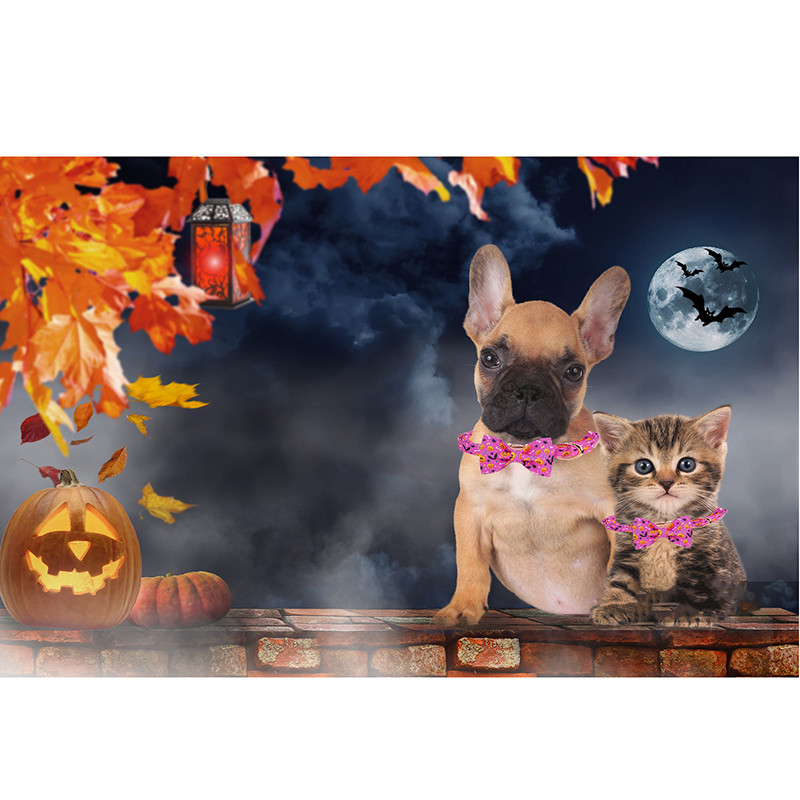 Guler de câine personalizat de Halloween cu papion Guler de câine Pumpkim Guler de câine ajustabil pentru cățeluș pentru câine mare, mediu mic