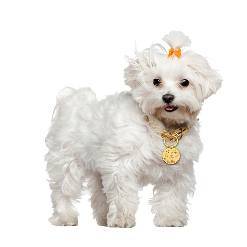 Etichetă de identificare pentru câini de companie, gravată gratuit, etichetă de identificare pentru câini de companie, pandantiv personalizat, etichete cu nume anti-pierdere, etichetă de identificare pentru monstru de pisică, accesorii pentru guler pentru 