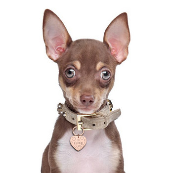 Персонализиран ключодържател Cat Dog Pet ID Tag Ключодържател Гравиран Pet ID име за Cat Puppy Dog Collar Tag Висулка Ключодържател Аксесоари за домашни любимци