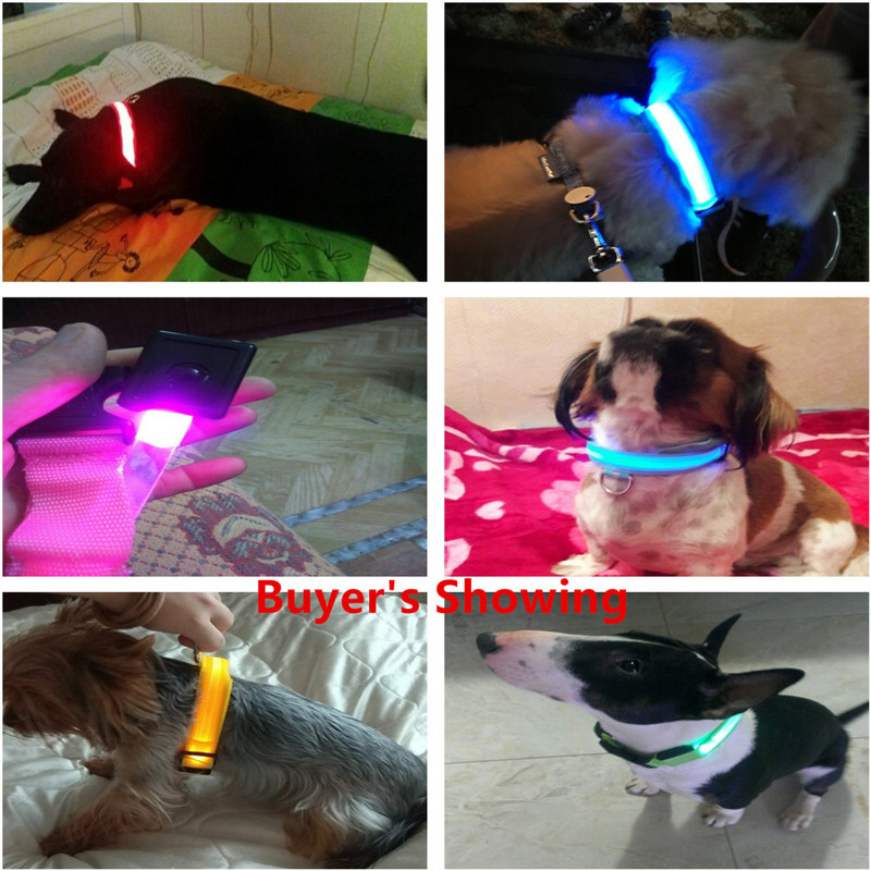 Najlonska LED ogrlica za pse, noćna sigurnosna bljeskalica koja svijetli u mraku povodac za pse, svjetleće fluorescentne ogrlice za pse, pribor za kućne ljubimce