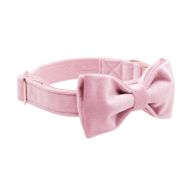 Unikaalse stiiliga käpad armsad roosad kutsikad, isikupärastatud jõulusinisest sametist isikupärastatud koera kaelarihm