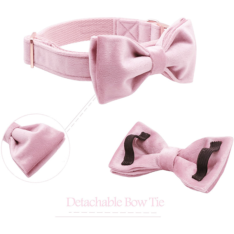 Unikaalse stiiliga käpad armsad roosad kutsikad, isikupärastatud jõulusinisest sametist isikupärastatud koera kaelarihm