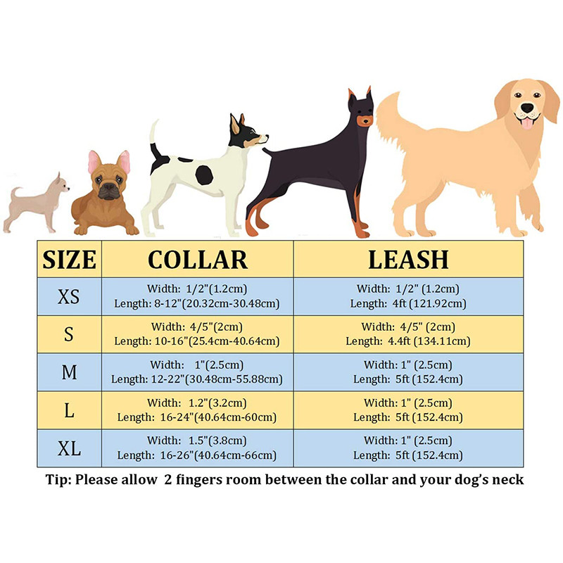 Unikaalse stiiliga käpad armsad roosad kutsikad, isikupärastatud jõulusinisest sametist isikupärastatud koera kaelarihm