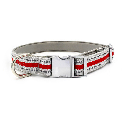 Ανακλαστικό νάιλον γιακά σκύλου και σετ λουριών Ρυθμιζόμενο μαλακό γέμισμα γιακά κουταβιού Μικρό μεσαίο μεγάλο λουρί σχοινιού παρακολούθησης σκύλου Perro