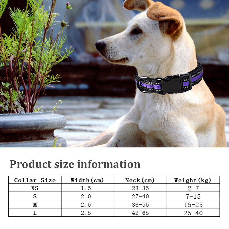 Ανακλαστικό νάιλον γιακά σκύλου και σετ λουριών Ρυθμιζόμενο μαλακό γέμισμα γιακά κουταβιού Μικρό μεσαίο μεγάλο λουρί σχοινιού παρακολούθησης σκύλου Perro