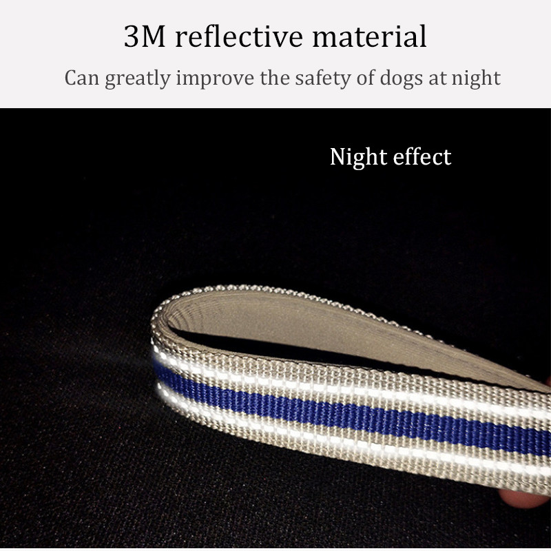 Ανακλαστικό νάιλον γιακά σκύλου και σετ λουριών Ρυθμιζόμενο μαλακό γέμισμα γιακά κουταβιού Μικρό μεσαίο μεγάλο λουρί σχοινιού παρακολούθησης σκύλου Perro