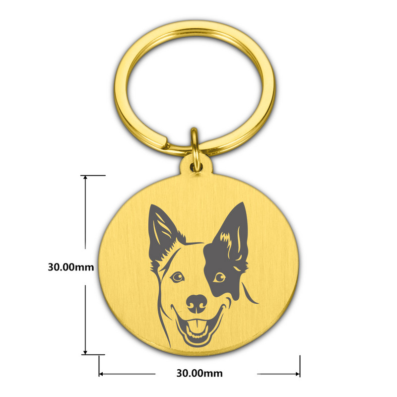 Nouă etichetă de identificare pentru câine, pisică, gravură gratuită personalizată, guler de câine personalizat, farmec pentru animale de companie, pandantiv cu nume, colier pentru pisoi, guler, accesoriu pentru cățeluș