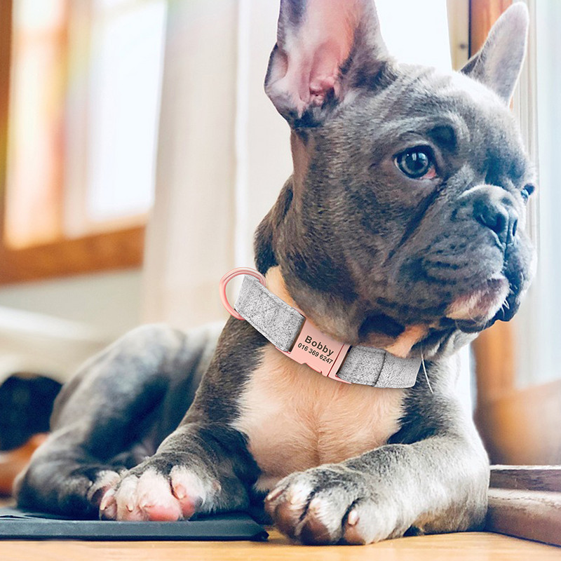 Isikupärastatud koera kaelarihm kutsika lemmiklooma kaelarihmad prantsuse buldogi kaelarihmad kohandatud ID silt Tasuta graveeritud väikestele keskmistele suurtele koertele
