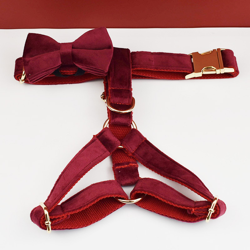 Set guler și lesă pentru câini din catifea vin roșu pentru câini mari Plăcuță de identificare gravată personalizată Articole pentru animale de companie Lesă pentru câini Velvet07