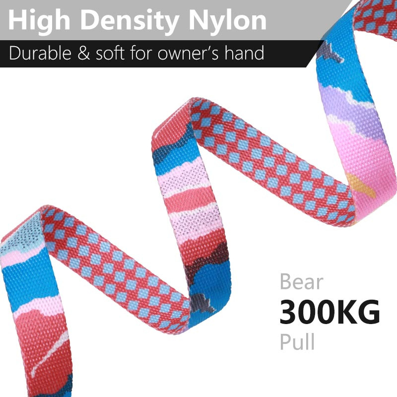 HamshMoc Lesă de câine reglabilă, model din nailon, fără încurcături, Lesă puternică pentru un câine, mic, mare, plimbare, alergare Dla Psa