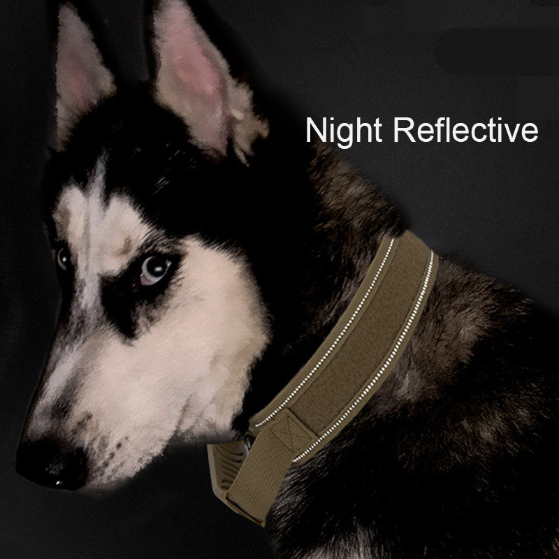 Ανθεκτικό Τακτικό Κολάρο Σκύλου Εξατομικευμένο Ρυθμιζόμενο Νάιλον Στρατιωτικό Κολάρο κατοικίδιων για μεσαίου μεγέθους σκύλους Αντιεκρηκτικό γιακά σκύλου