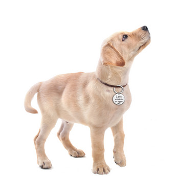 Персонализиран етикет за куче Персонализирано гравирано кученце за домашни любимци Котка ID нашийник Етикети от неръждаема стомана Аксесоари за домашни любимци за малки кучета Котешки зоомагазин