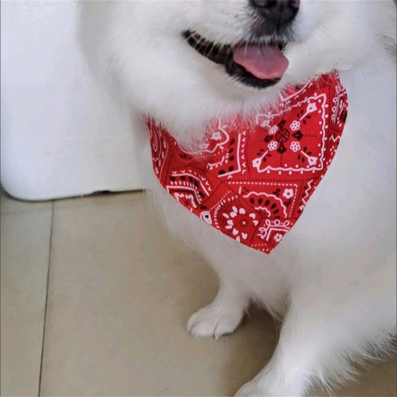 Ρυθμιζόμενη πετσέτα για κατοικίδια χαριτωμένα κουτάβια γάτα με τριγωνικό κολάρο Σκυλιά με στάμπα μαντήλι λουριά γιακά Κασκόλ λαιμού σκύλου με δαχτυλίδια D