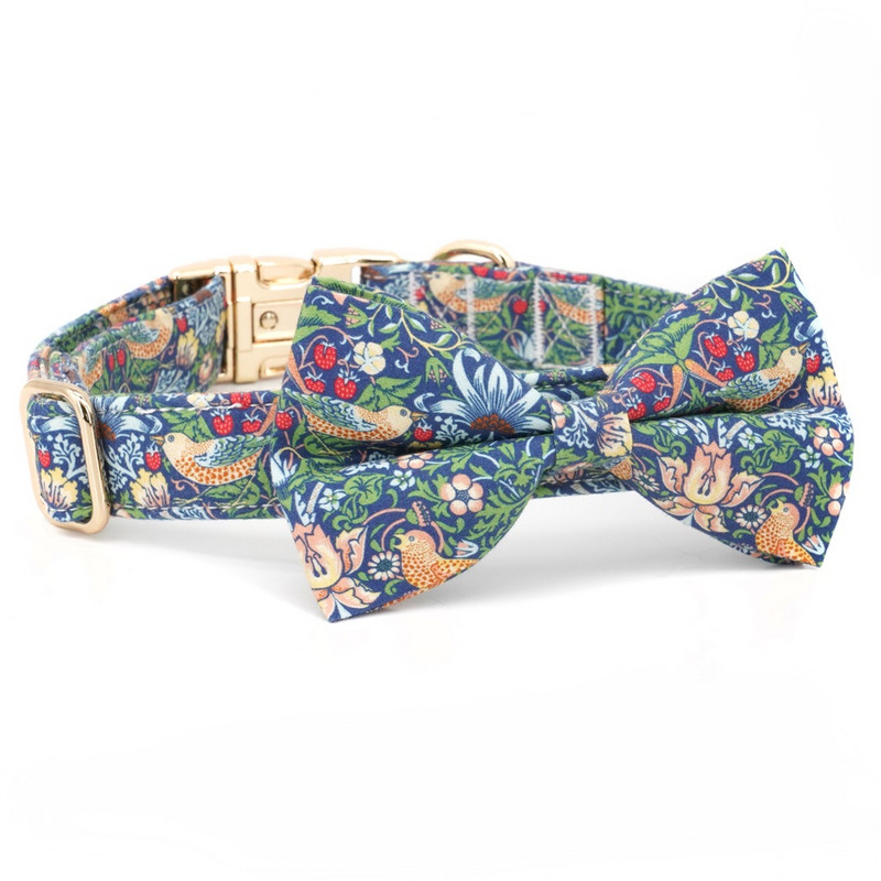 Retro Strawberry koera kaelarihm, isikupärastatud koera kaelarihm koos sobiva jalutusrihmaga