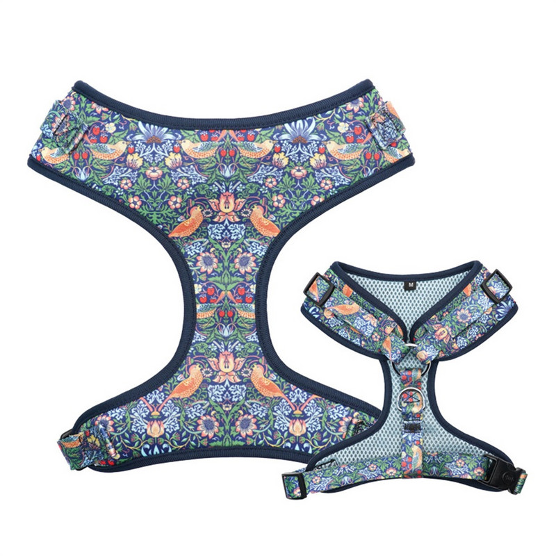 Retro Strawberry koera kaelarihm, isikupärastatud koera kaelarihm koos sobiva jalutusrihmaga