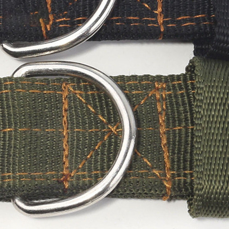 Guler de câine reglabil din nailon Curea fermă de câine rafinată pentru animale de companie pentru gâtul de câine mijlociu-mare Ringplay în aer liber Animal de companie Teddy Pitbull