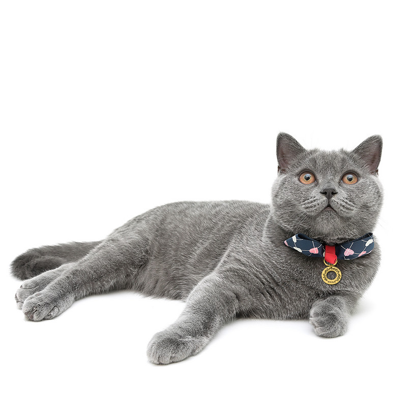 Etichetă de identificare pentru animale de companie Breloc personalizat pentru pisică pentru câine Nume de identificare pentru animal de companie gravat pentru pisică, cățeluș, etichetă pentru guleră, breloc cu pandantiv, accesorii pentru animale de compan