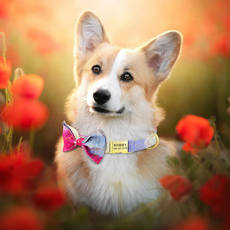 Guler personalizat pentru câini, din nailon, cu papion, cu cataramă pentru câini, etichetă cu nume cu gravură gratuită anti-pierdere. Papion drăguț, flori, accesorii pentru animale de companie