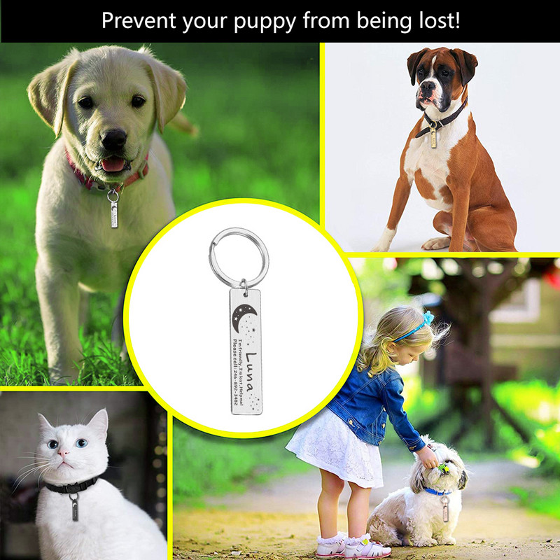 Guler personalizat Etichetă de identificare pentru animale de companie, Număr de nume din oțel inoxidabil gravat Etichete de identificare pentru pisici pentru câini, pisici, guler anti-pierdere, pandantiv