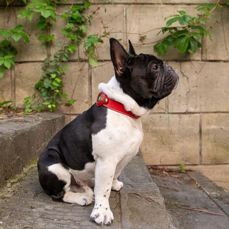 CAWAYI KENNEL Δερμάτινο κολάρο σκυλιών για μικρομεσαίους σκύλους Αξεσουάρ αερόσημου για σχεδιαστές μόδας κατοικίδιων σκύλων Ρυθμιζόμενο κολάρο Perro