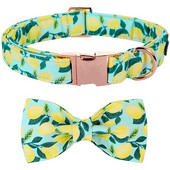 Μοναδικό στυλ Paws Προσωποποιημένο καλοκαιρινό κολάρο για σκύλους με παπιγιόν με πράσινο κολάρο για σκύλους για κατοικίδιο για μεγάλο μεσαίο μικρό σκύλο