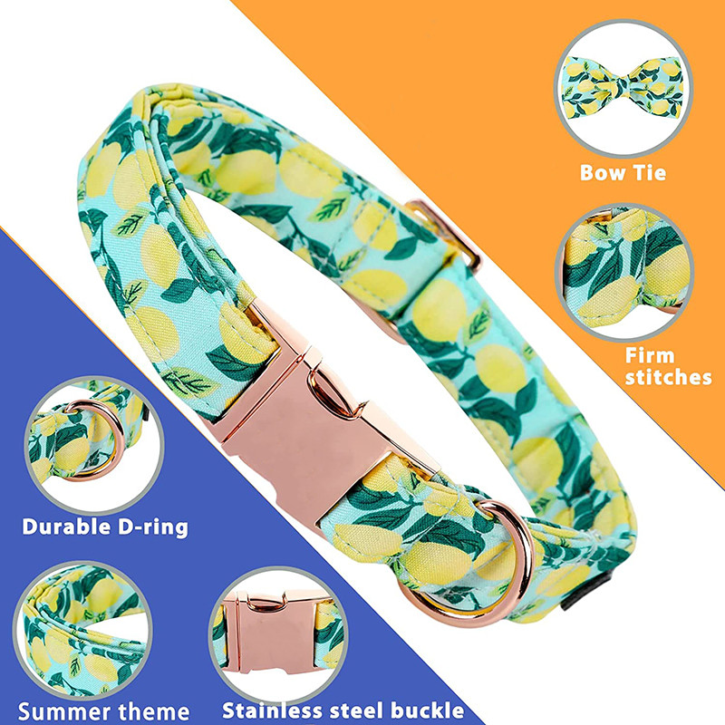 Μοναδικό στυλ Paws Προσωποποιημένο καλοκαιρινό κολάρο για σκύλους με παπιγιόν με πράσινο κολάρο για σκύλους για κατοικίδιο για μεγάλο μεσαίο μικρό σκύλο