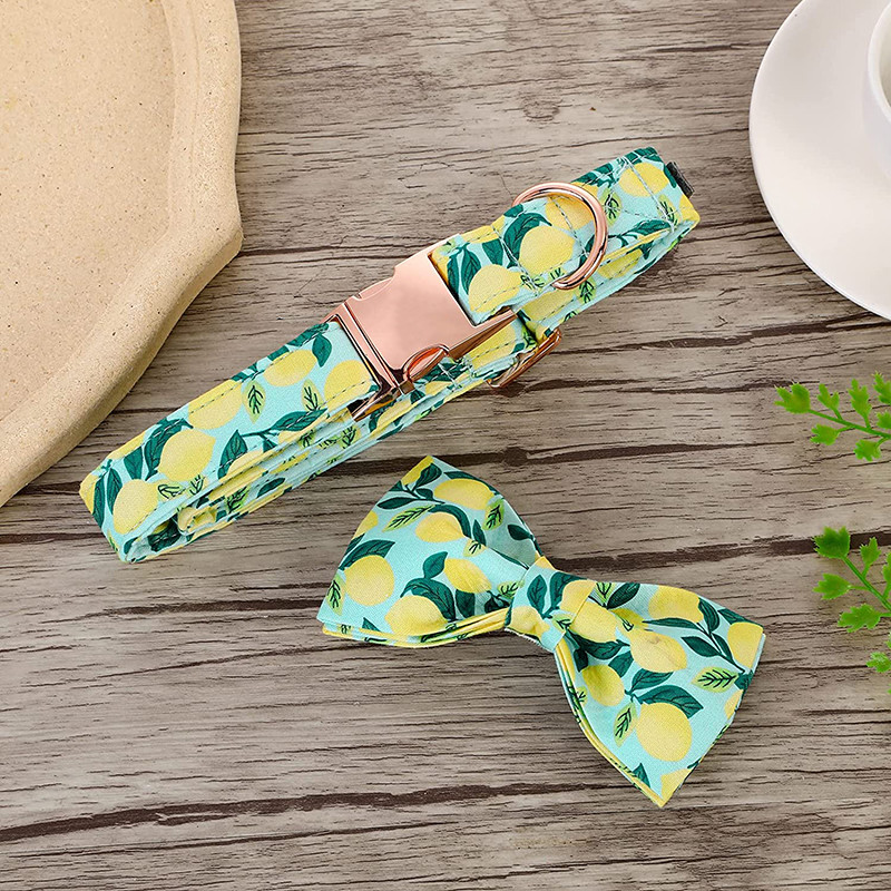 Μοναδικό στυλ Paws Προσωποποιημένο καλοκαιρινό κολάρο για σκύλους με παπιγιόν με πράσινο κολάρο για σκύλους για κατοικίδιο για μεγάλο μεσαίο μικρό σκύλο