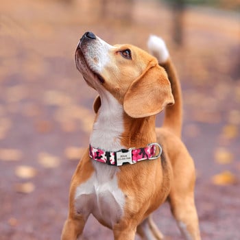 Kολάρο ταυτότητας σκύλου Ρυθμιζόμενο νάιλον περιλαίμια για κατοικίδια  πόρπη ταυτότητας Κολιέ κατά της απώλειας σκύλου για μικρά μεσαία μεγάλα σκυλιά