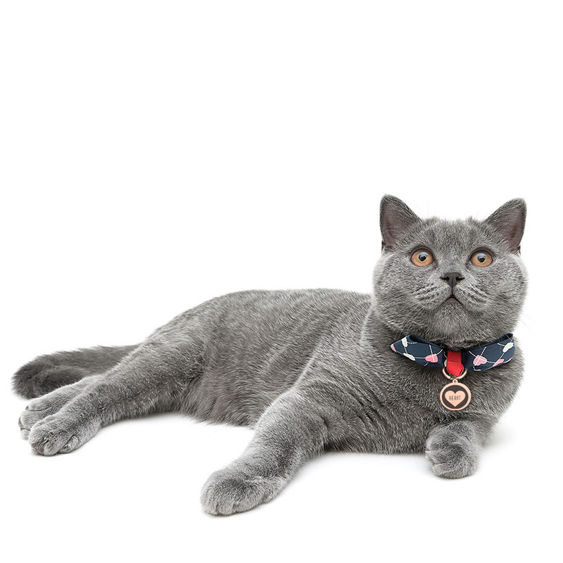 Νέο σχέδιο Δωρεάν χαραγμένες ετικέτες ταυτότητας για σκύλους κατοικίδιων ζώων Εξατομικευμένες ετικέτες γατάκι από ανοξείδωτο ατσάλι για γάτες Σκύλοι Κολάρο για κουτάβι Όνομα ταυτότητας αξεσουάρ ετικέτας