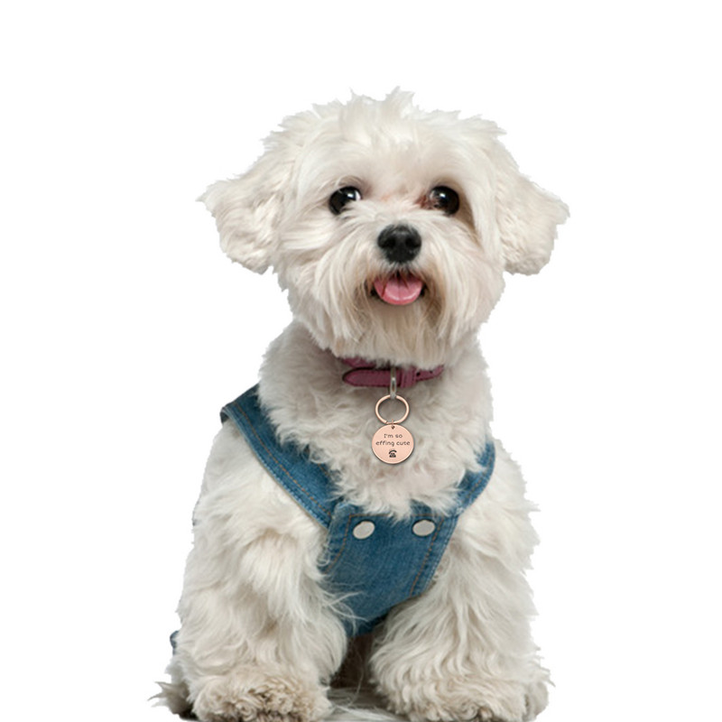 Tasuta kohandatud kahepoolne nimi Aadress Lemmiklooma koera sildid Kassi kaelarihm Lemmiklooma ID Koerasildid kaelarihmad roostevabast terasest kassisildade tarvikud