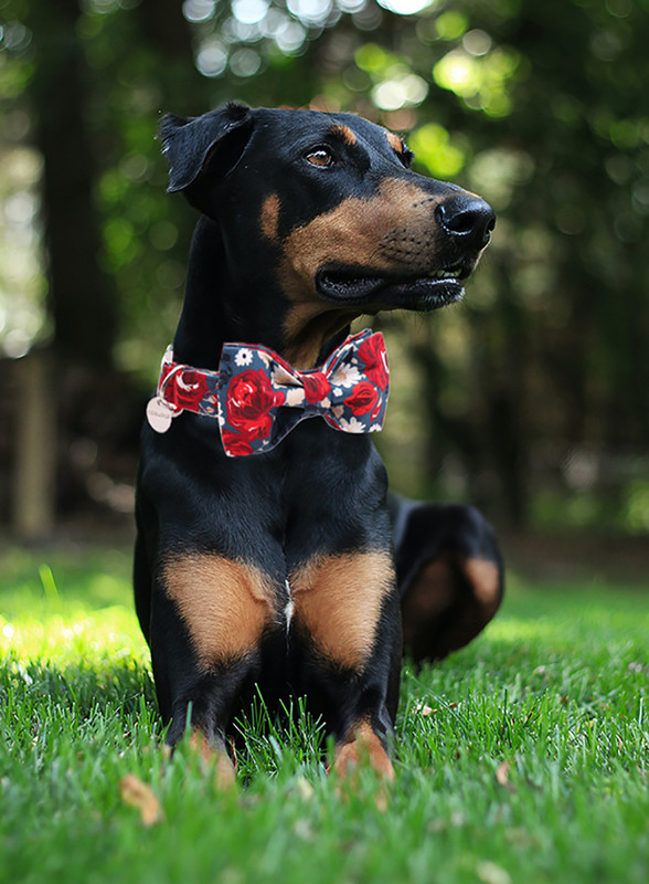 Jedinstveni stil Paws Ogrlica za pse Ogrlica za pse s cvijetom od pamučne tkanine i mašna