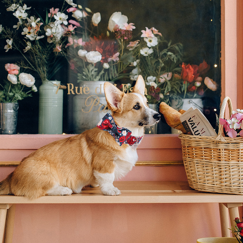 Jedinstveni stil Paws Ogrlica za pse Ogrlica za pse s cvijetom od pamučne tkanine i mašna